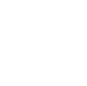 Sustainability Icon